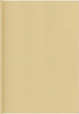 Image de Tapis de tente 400x700 cm Beige