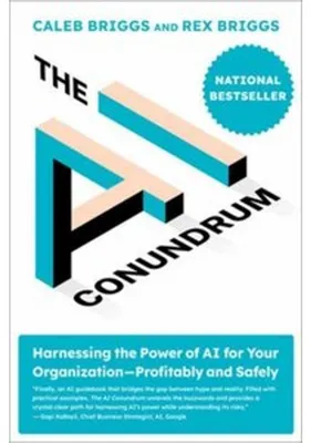 Obrázek produktu pro The AI Conundrum