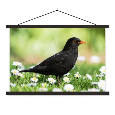 Produktbild von MuchoWow® Textilposter Vogel - Amsel - Blumen 60x40 cm mit schwarzem Rahmen - Hölzernes
