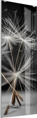 Produktbild von DEQORI Kleiderhaken aus Glas 50x125 cm 'Samen der Pusteblume' Wand Garderobe Paneel Haken