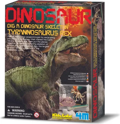 Imagen del producto de Kit de manualidades 4M "Crea tu propio T-Rex"