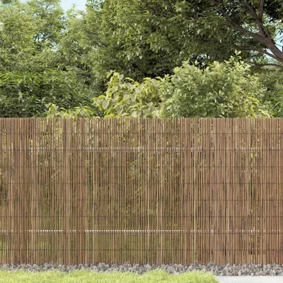 Produktbild von Eleganten-Stil Gartenzaun 500x80 cm Schilf DE3314104