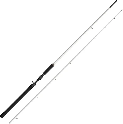 Produktbild von Abu Garcia Beast X Trolling Casting