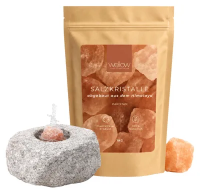 Produktbild von wellow® Sole-Set für die Sauna – 1 kg Salzkristalle + Spezial-Dampfstein – für intensiven Sole-Aufguss & wohltuendes Saunaklima
