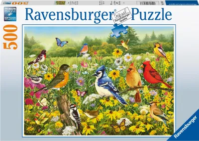 Produktbild von Vogelwiese Ravensburger 16988