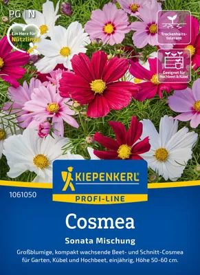 Artikelbild 2 von 'Cosmos Sonata Mischung' aus der Kategorie Cosmeasamen