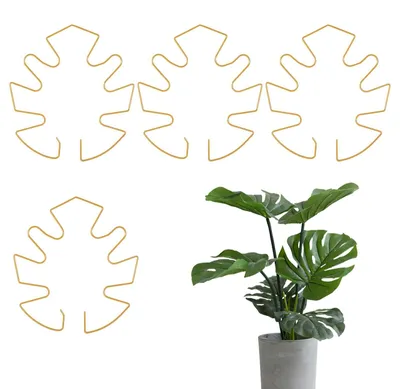 Produktbild von Set mit 4 Monstera-Pflanzstützen für Zimmerpflanzen