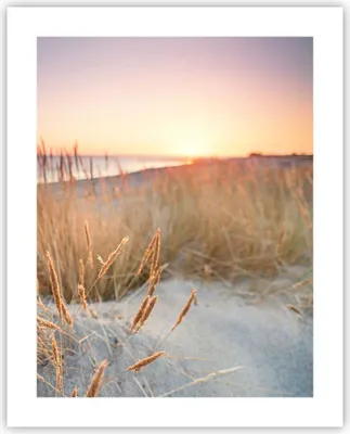 Produktbild von Poster - Poster ohne Rahmen - Sonne Vögel Sand - 40x50 cm - Wand Bild - Wanddeko - Wandbilder - Kunstposter - Wandposter - Bilder - Kunstdruck - Wanddekoration - Wandbild - P2XPA40x50-4810