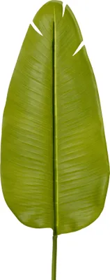 Produktbild von Künstliches Deko Blatt Bananenpflanze 20x100cm Kunststoff Grün