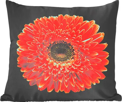 Produktbild von MuchoWow® Zierkissen Sofakissen Wohnzimmer Dekokissen 50x50 cm Eine orangefarbene Gerbera-Blüte vor schwarzem Hintergrund - Komfort - Sofakissen