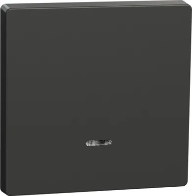 Produktbild von MERTEN Wippe Anthrazit System Design MEG3320-6034