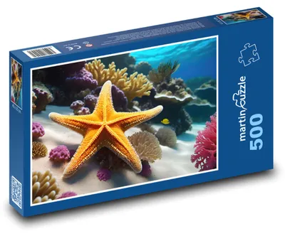 Obrázek produktu pro martinpuzzle - Puzzle 500 - Mořská hvězdice