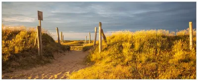 Produktbild von Wallario Wandbild aus Acryl, 125 x 50 cm, freischwebende Optik - Düne am Strand bei Sonnenuntergang in Frankreich