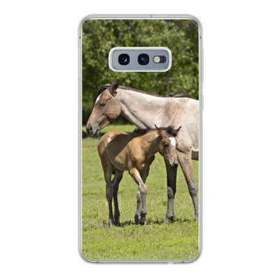 Produktbild von MuchoWow® Handyhülle Schutzhülle Hülle für Samsung Galaxy S10e Pferde - Gras - Schatten Silikon Softcase Handy Hülle - Handy