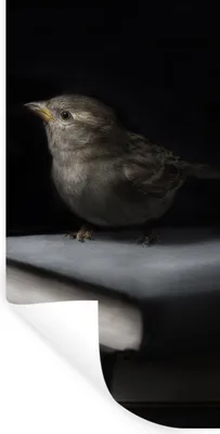 Produktbild von MuchoWow® Wandtattoo Wandsticker Wandaufkleber Vogel - Bücher - Porträt 20x40 cm Selbstklebend und Repositionierbar - Selbstklebend - Fototapeten