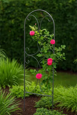 Produktbild von Dekorative Rankhilfe Metall für Kletterpflanzen Rosen und Clematis