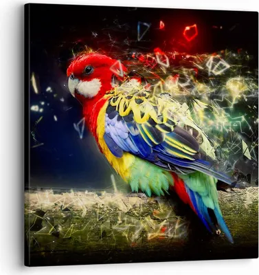 Produktbild von Bild auf Leinwand - Leinwandbild - Papagei Vogel Feder - 30x30cm - Wand Bild - Wanddeko - Wandbilder - Leinwanddruck - Bilder - Kunstdruck - Wanddekoration - Leinwand bilder - Wandkunst - AC30x30-3682