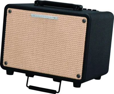 Image de IBANEZ T30II Troubadour Combo 30Watt/8Zoll
