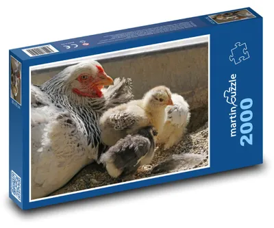 Produktbild von Puzzle 2000 Huhn mit Küken - martinpuzzle