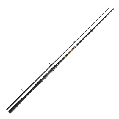 Image de Cormoran Seacore BAT Pilk canne, WG g:50-150, longueur m:2,70