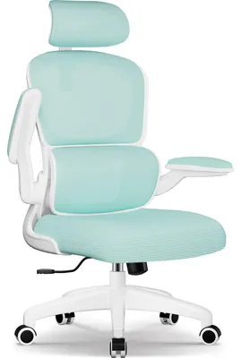 Immagine prodotto di Sedia da ufficio ergonomica con poggiatesta e supporto lombare regolabili