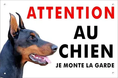 Produktbild von Warnschild für Hunde aus Aluminium, extra robust 3 mm, 20 x 30 cm