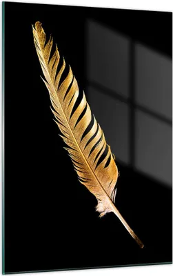 Produktbild von Bilder auf glas - Einteilig - Golden Feder Schwarz - 50x70cm - Glasbilder - Wandbilder - Bilder - zum Aufhängen bereit - Wanddekoration aus Glas - Glas Bilder - Wandbild auf Glas - GPA50x70-4887