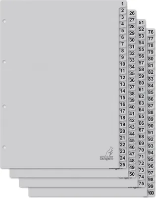 Produktbild von kangaro Karton-Register ECO Zahlen 1-100 DIN A4 100-teilig