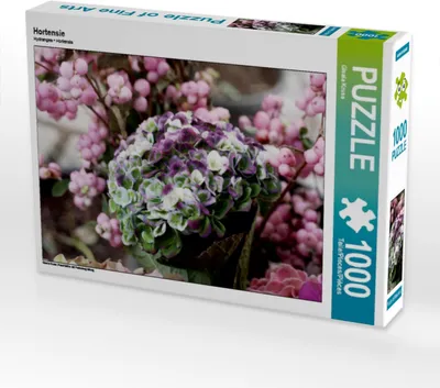 Produktbild von Calvendo Hortensie 1000 Teile Puzzle quer 640x480mm, Kruse Gisela; 7462678
