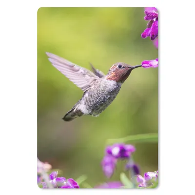 Produktbild von MuchoWow® Mauspad Mousepad Kolibri - Vogel - Natur 18x27 cm - Mousepads - Maus Mat - Pad - Mausunterlage
