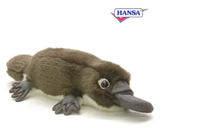Produktbild von Hansa Toy 3665 Schnabeltier 30 cm Kuscheltier Stofftier Plüschtier