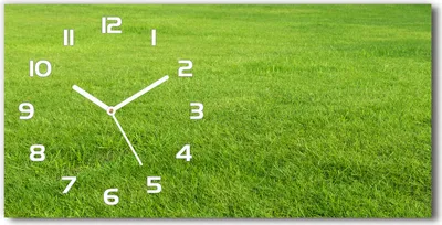 Produktbild von Wanduhr aus Glas – 60x30 cm - Glasbild - Glasuhr - Gehärtetes Glas - weisse-zeiger - grünes Gras