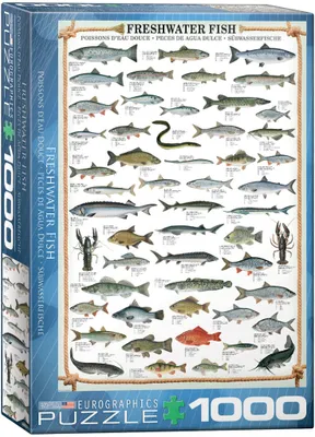 Productafbeelding van Zoetwatervissen - Puzzel van 1000 stukjes, formaat 68x48 cm