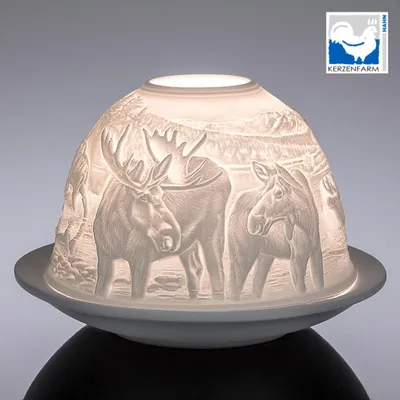 Produktbild von Dome Light Elche