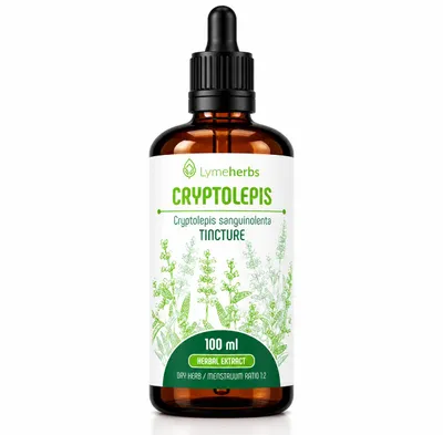 Produktbild von Cryptolepis-Tinktur 1:2 (100ml), KI-generiertes Bild