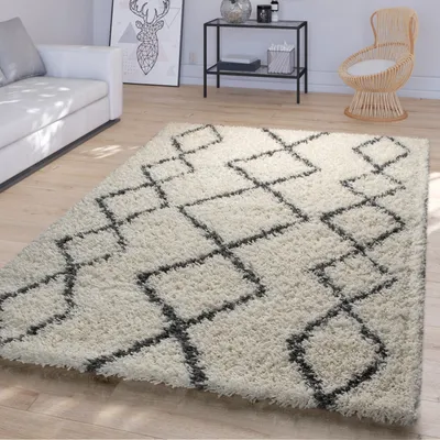 A living room scene with a rug, sofa, and chair.