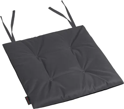 A single dark gray seat cushion with ties is shown against a white background.