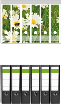 Produktbild von Wallario 6 Stück breite Ordner inkl. Klebeetiketten mit Motive Margeritenwiese -  Set mit Rückenschildern / Ordnerrücken Stickern