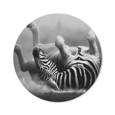 Produktbild von MuchoWow® Mauspad Mousepad Zebra - Tiere - Schwarz - Weiß 40x40 cm - Mousepads - Maus Mat - Pad - Mausunterlage - Schreibtisch Accessoires