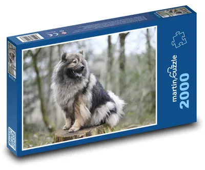 Obrázek produktu pro martinpuzzle - Puzzle 2000 - Eurasier - pes
