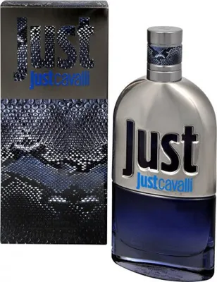 Obrázok produktu pre Roberto Cavalli Just Cavalli Him Edt Spray