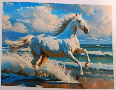 Produktbild von Malen-nach-Zahlen-Set mit Acrylfarben 40 x 50 cm Pferd