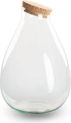 Produktbild von Flaschengarten Terrarienflasche mit Kork Geschlossenes Terrarium Tropfen XL 37cm