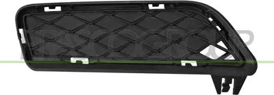 Produktbild von PRASCO Lüftungsgitter Grill Stoßfänger für BMW X3 (F25) Schwarz
