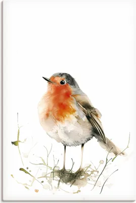 Produktbild von ARTland Leinwandbild Aquarell Rotkehlchen Größe: 40x60 cm