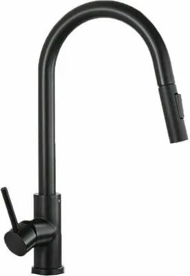 A black kitchen faucet against a white background.