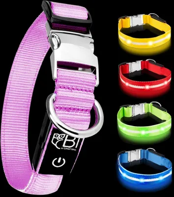 Produktbild von Lichthalsband für Hunde [das Original] leuchtende LED-Hundehalsband zum Spazierengehen, auch im Dunkeln, sehr lange Batterielebensdauer, sicher dank hochwertigem Metallverschluss (gelb, M)