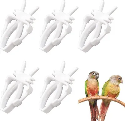 Produktbild von Vogel-Fruchtclip, Papageien-Fruchtwerkzeug, Vogelfutterhalter, Futterspender, 5 Stück