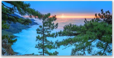 Produktbild von Tulup Leinwand-Bilder 120x60 Wandbild Canvas Kunstdruck Bäume Natur