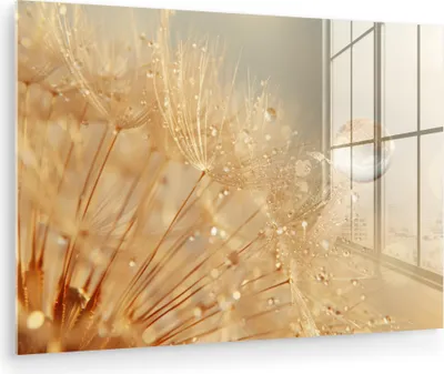 Produktbild von MuchoWow Glasbilder - Bilder auf Wandbild - Foto auf Glas Löwenzahn - Wasser - Natur - Pflanzen - Modern 30x20 cm Wanddekoration aus Glas - Acrylglasbild - Acrylbilder - Bilder auf glas wandbild